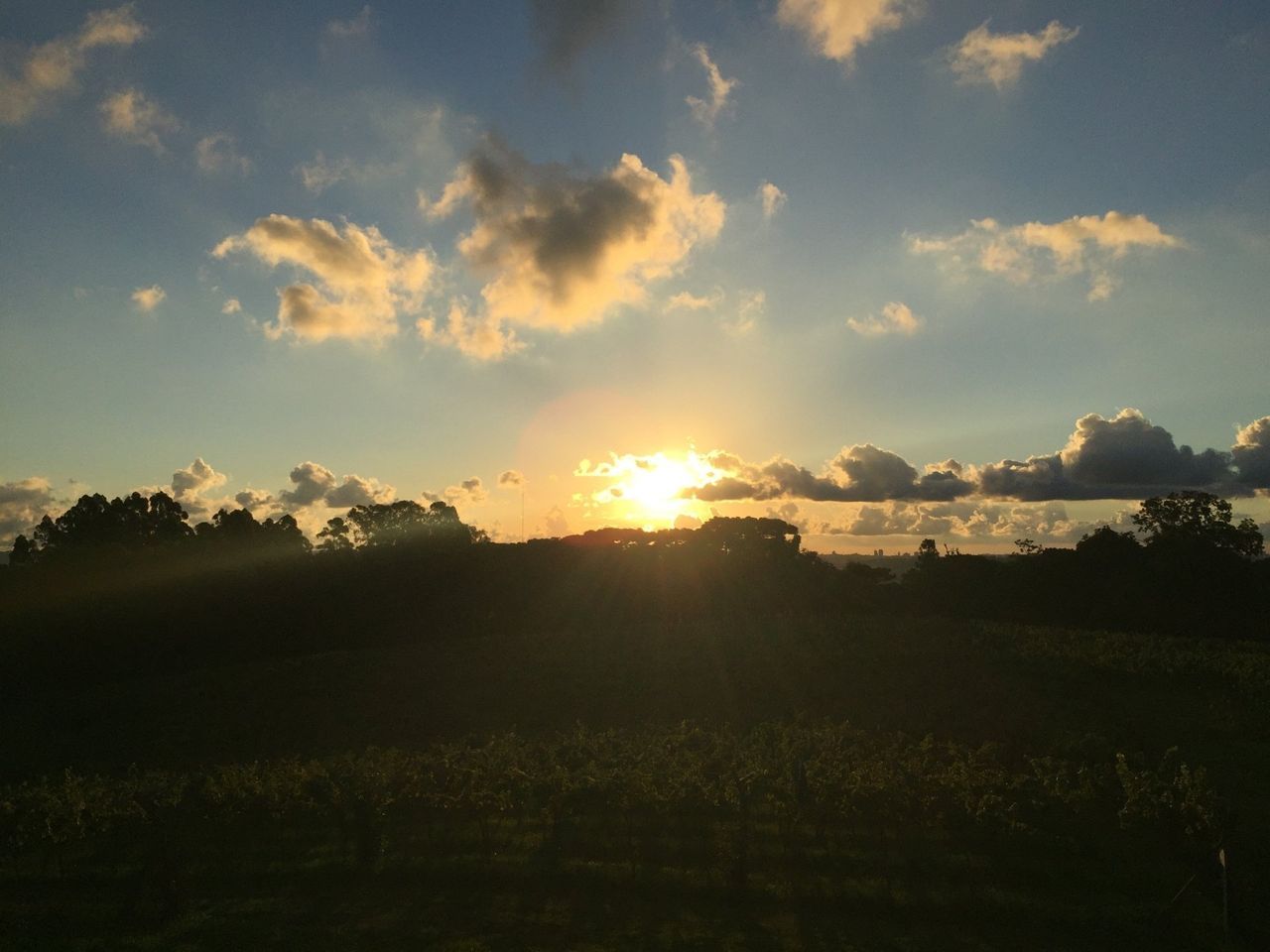 Image - 2
