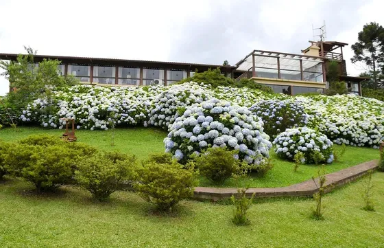 Image - 5