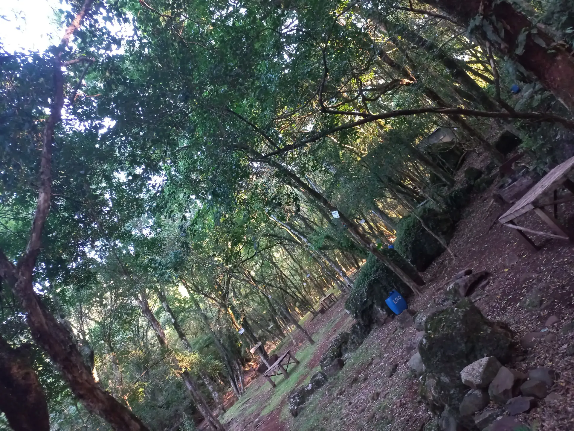 Image - 4