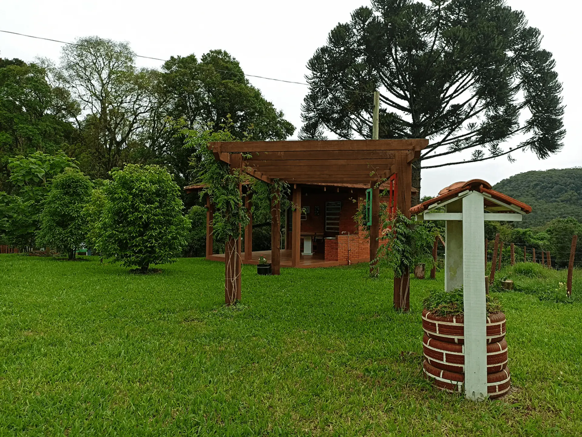 Image - 6