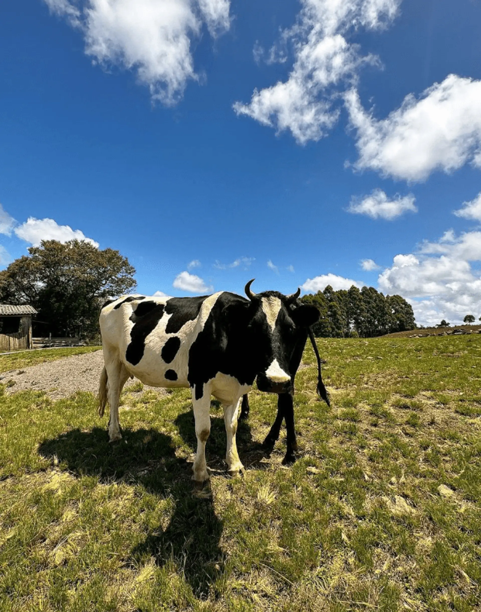 Rancho da Coxilha