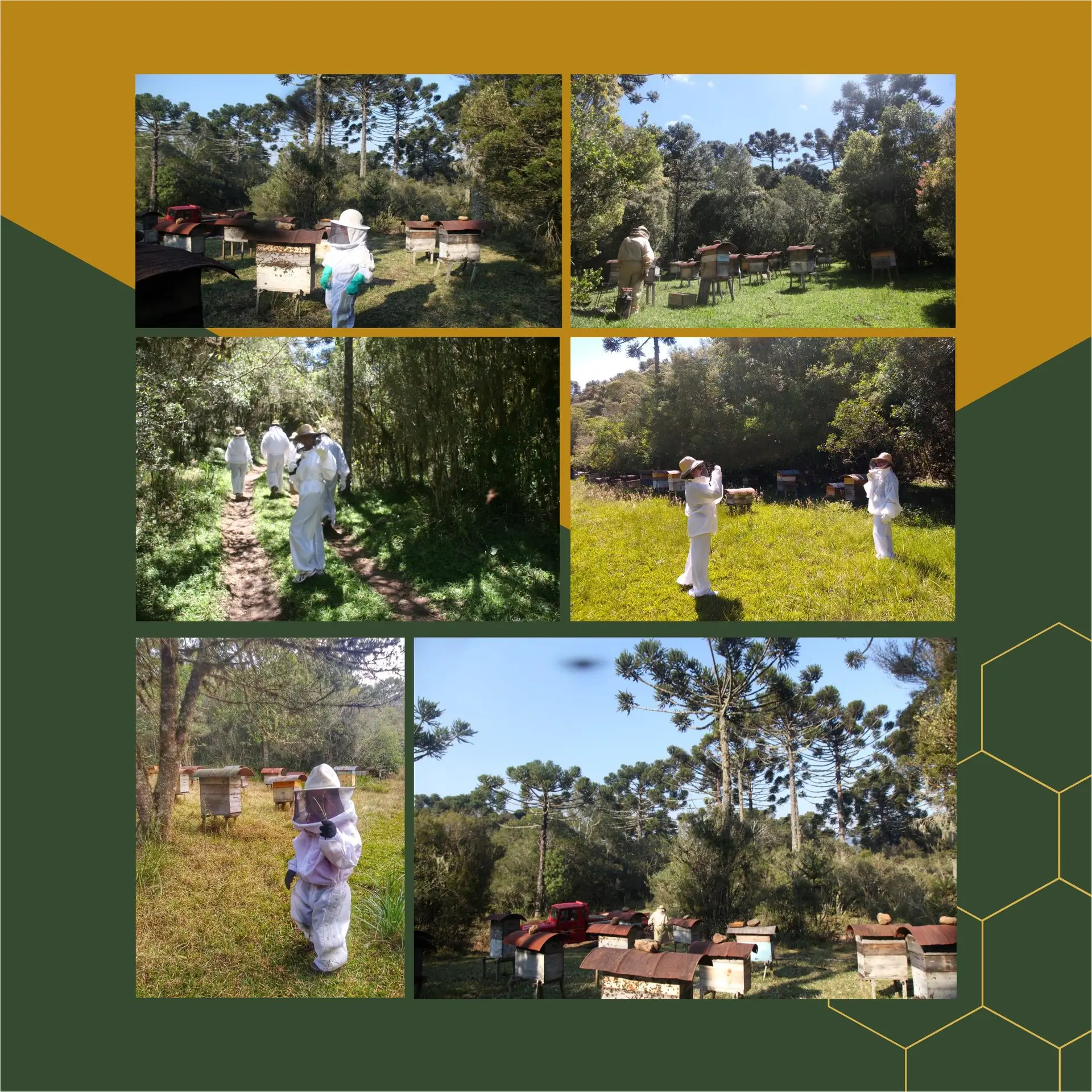 Image - 3