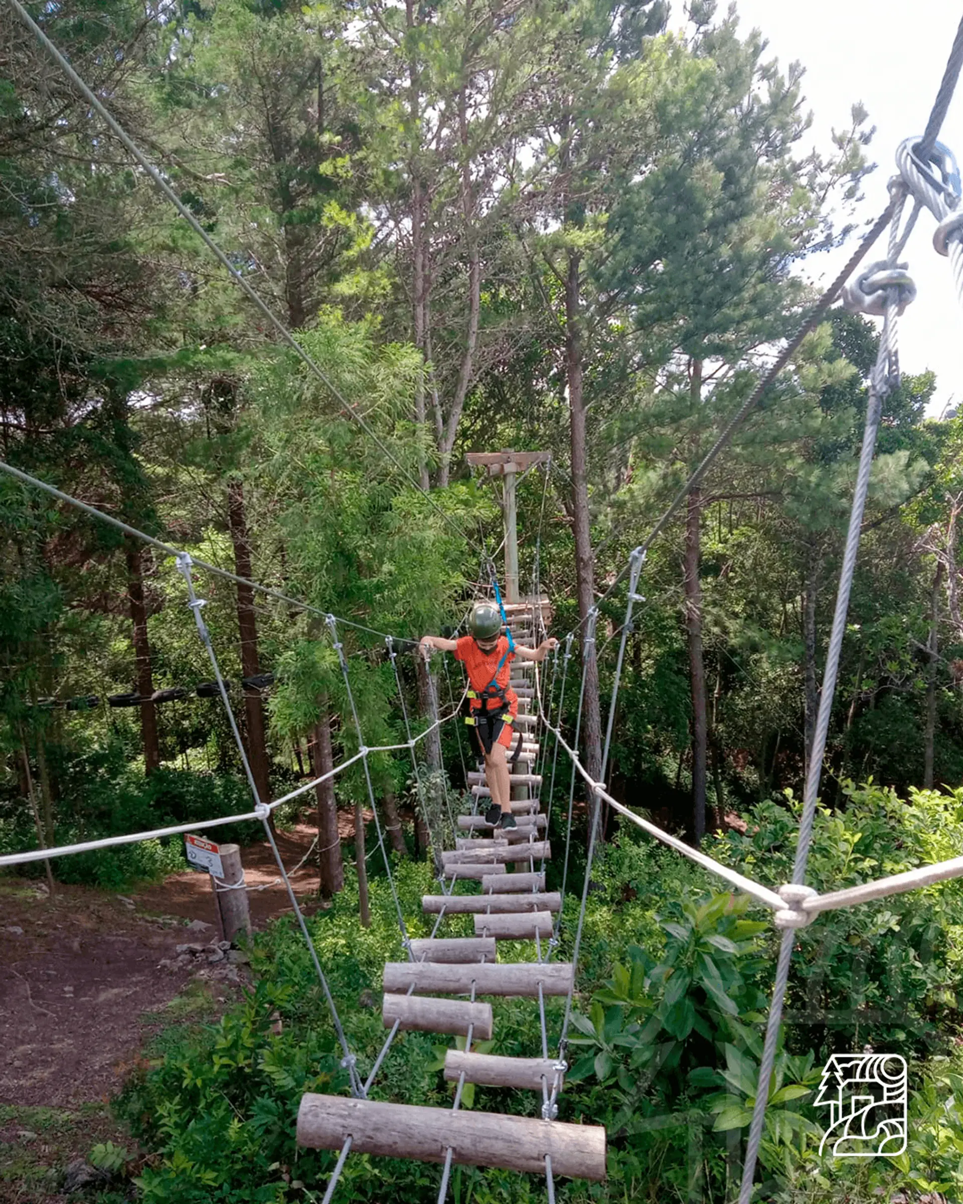 Image - 2
