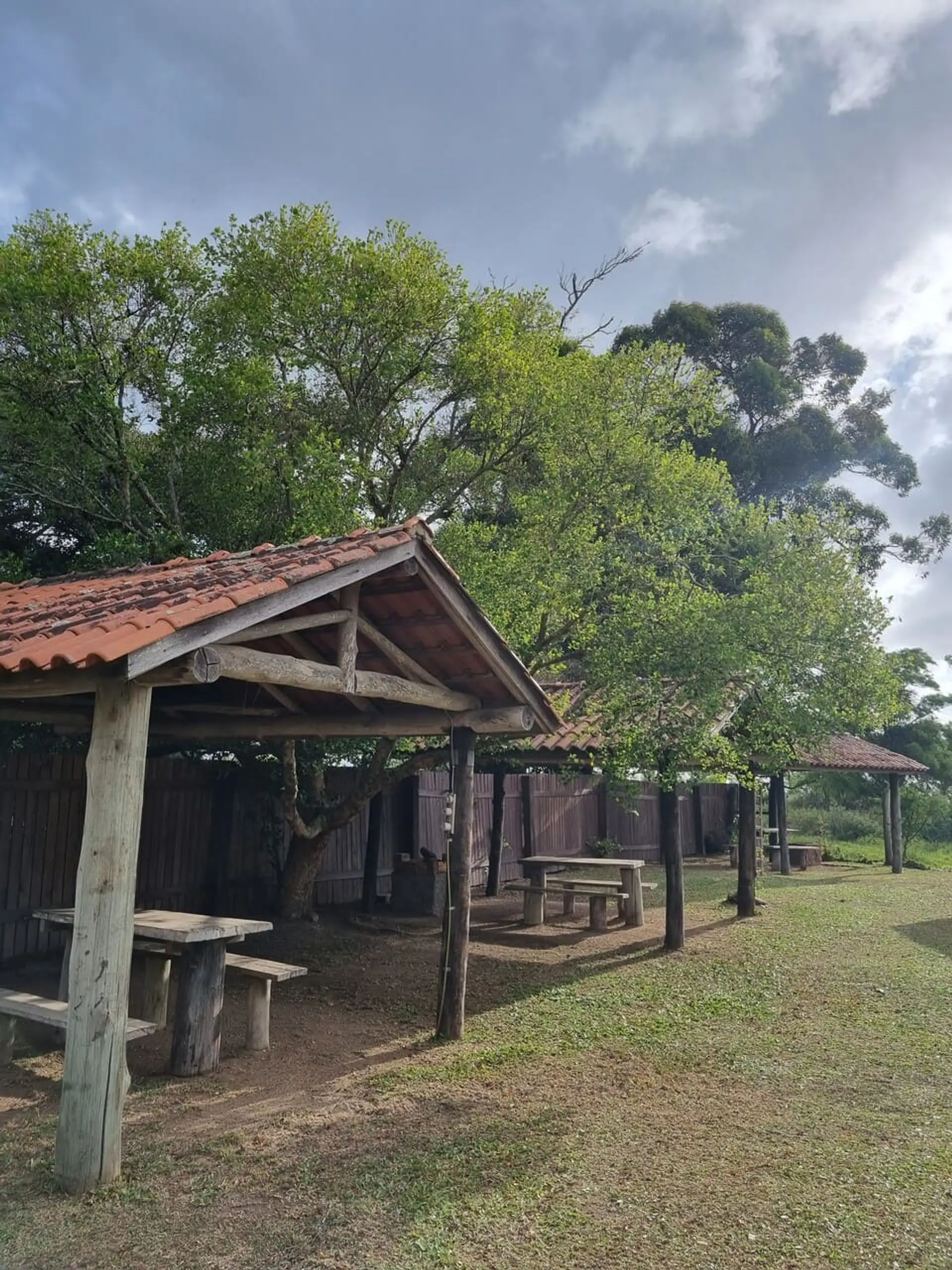 Image - 5