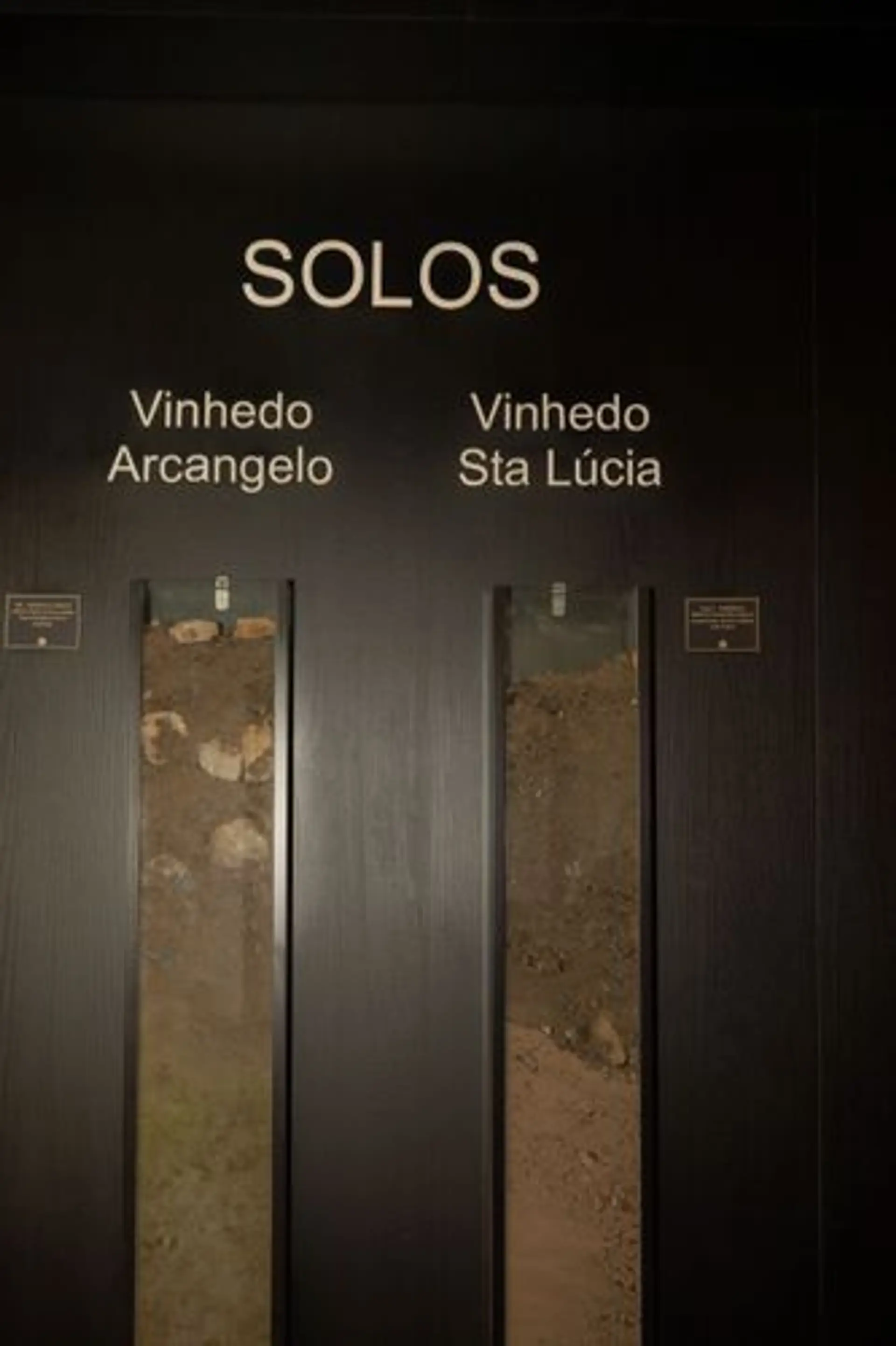 Image - 4