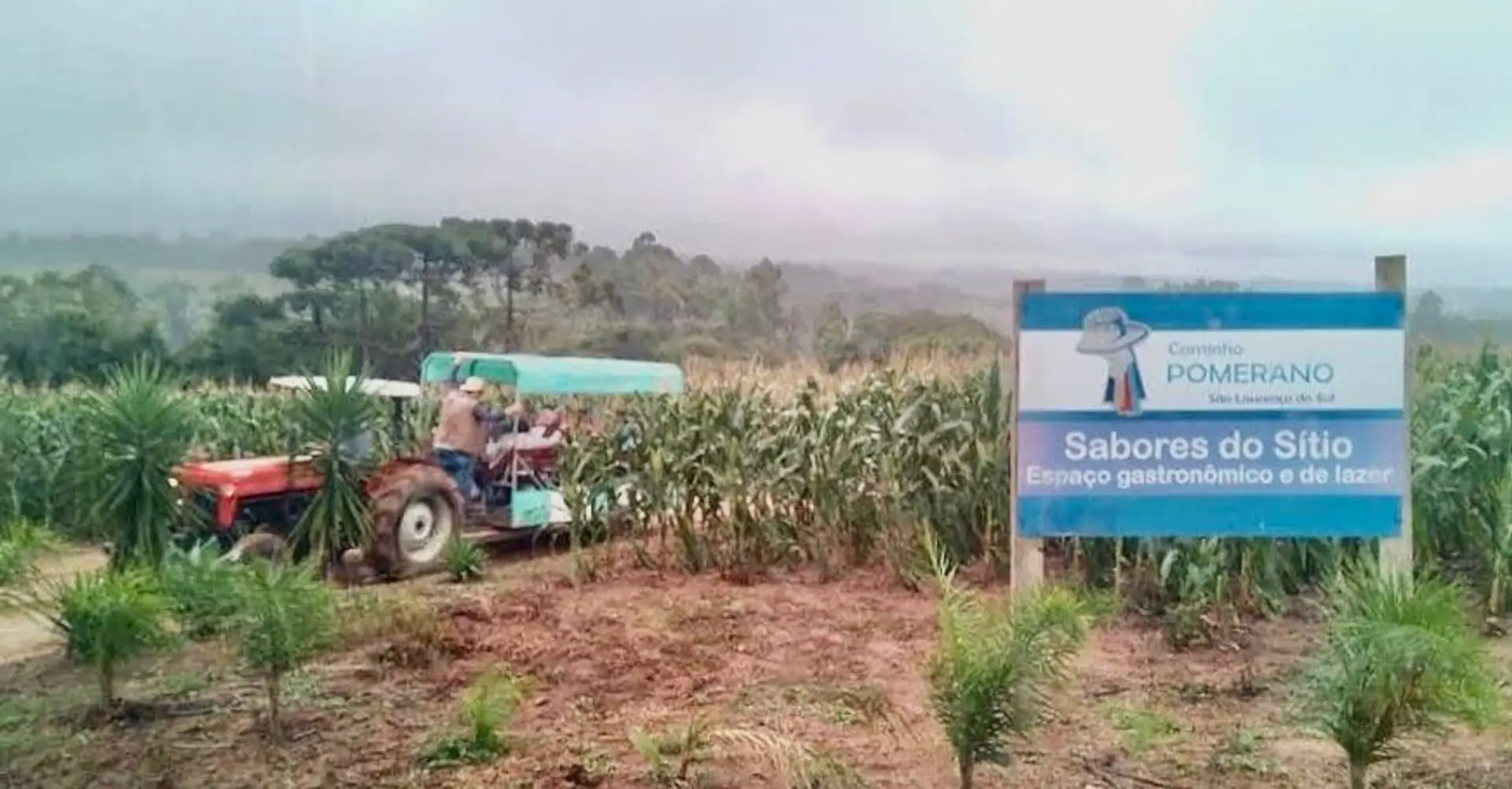 Image - 4