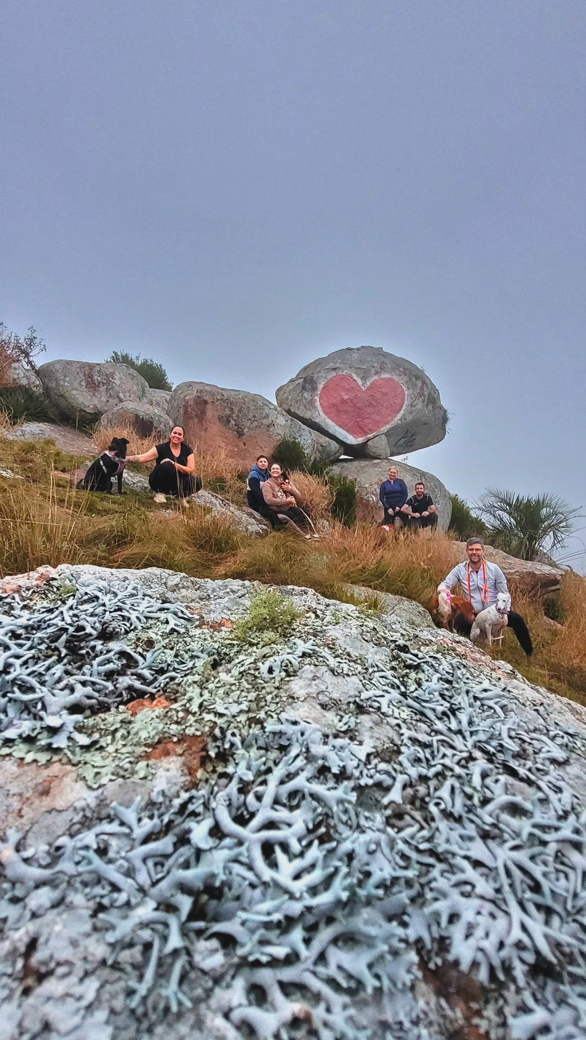 Image - 7