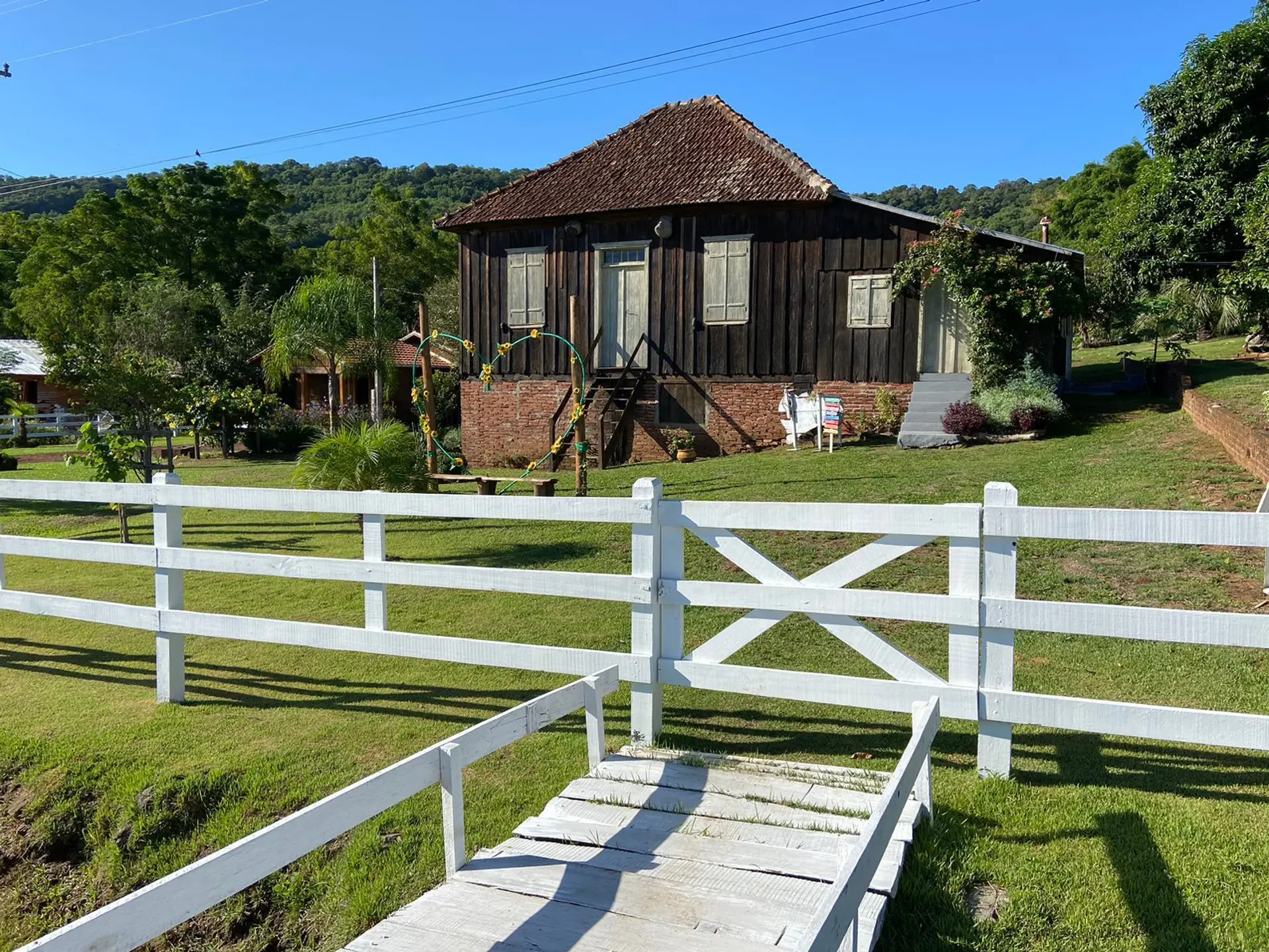 Image - 3