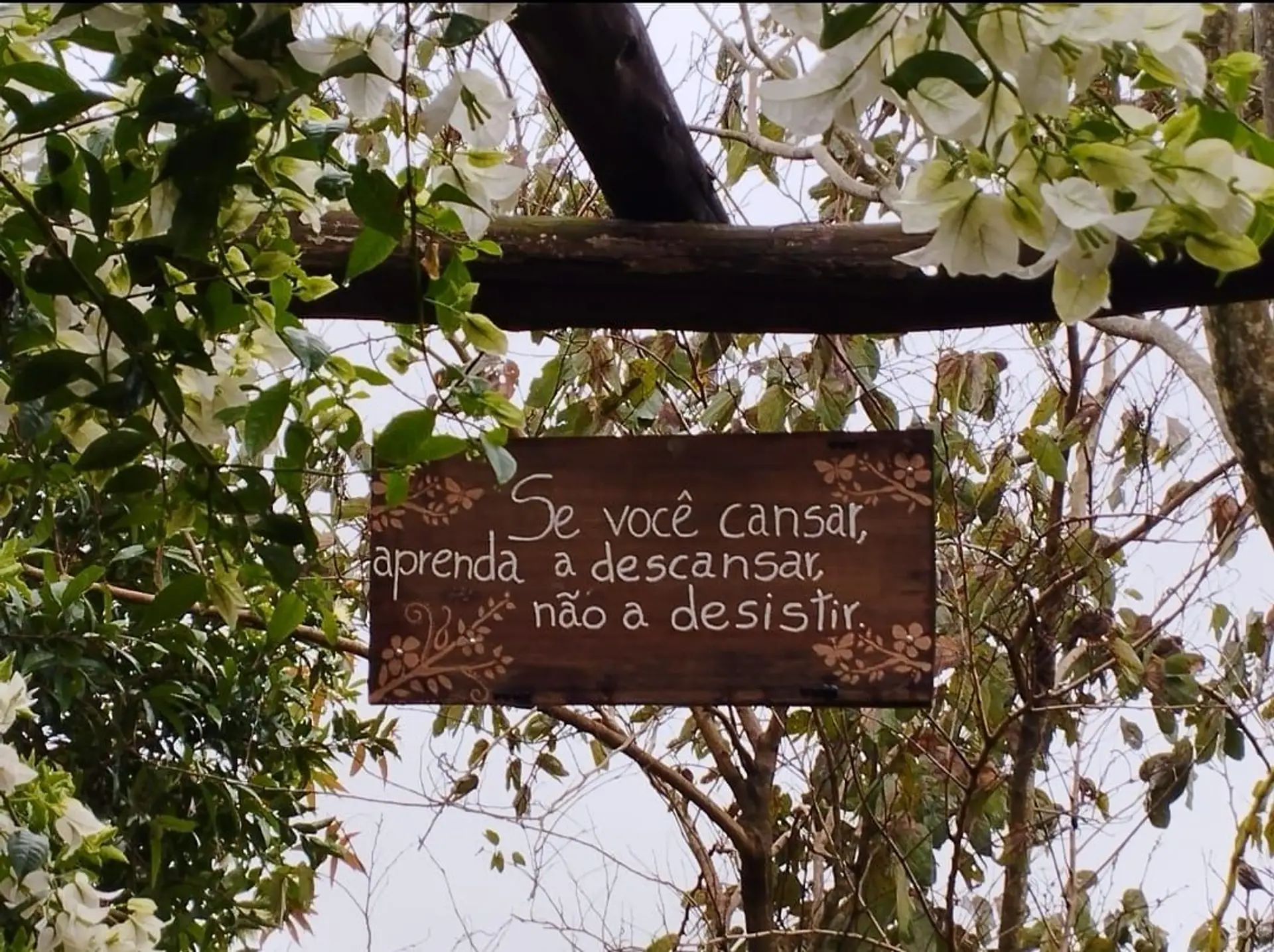 Image - 3