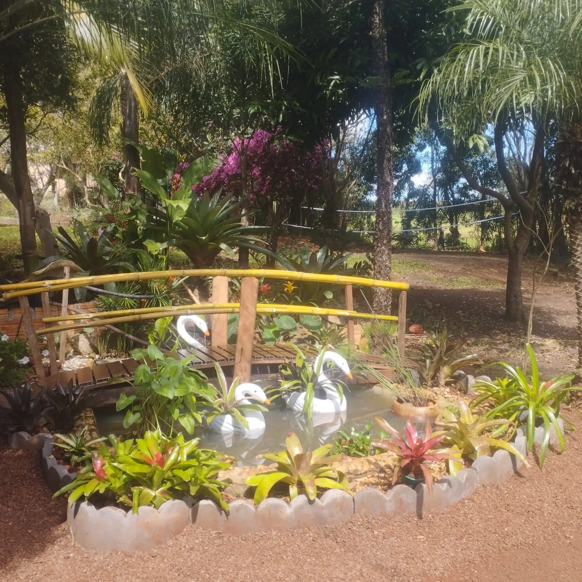 Image - 8