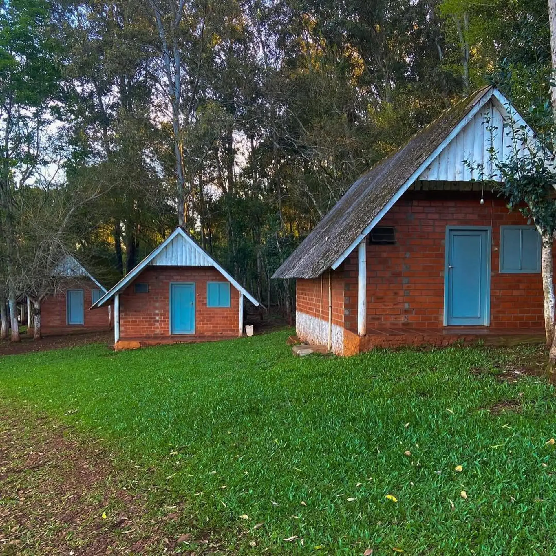 Image - 1