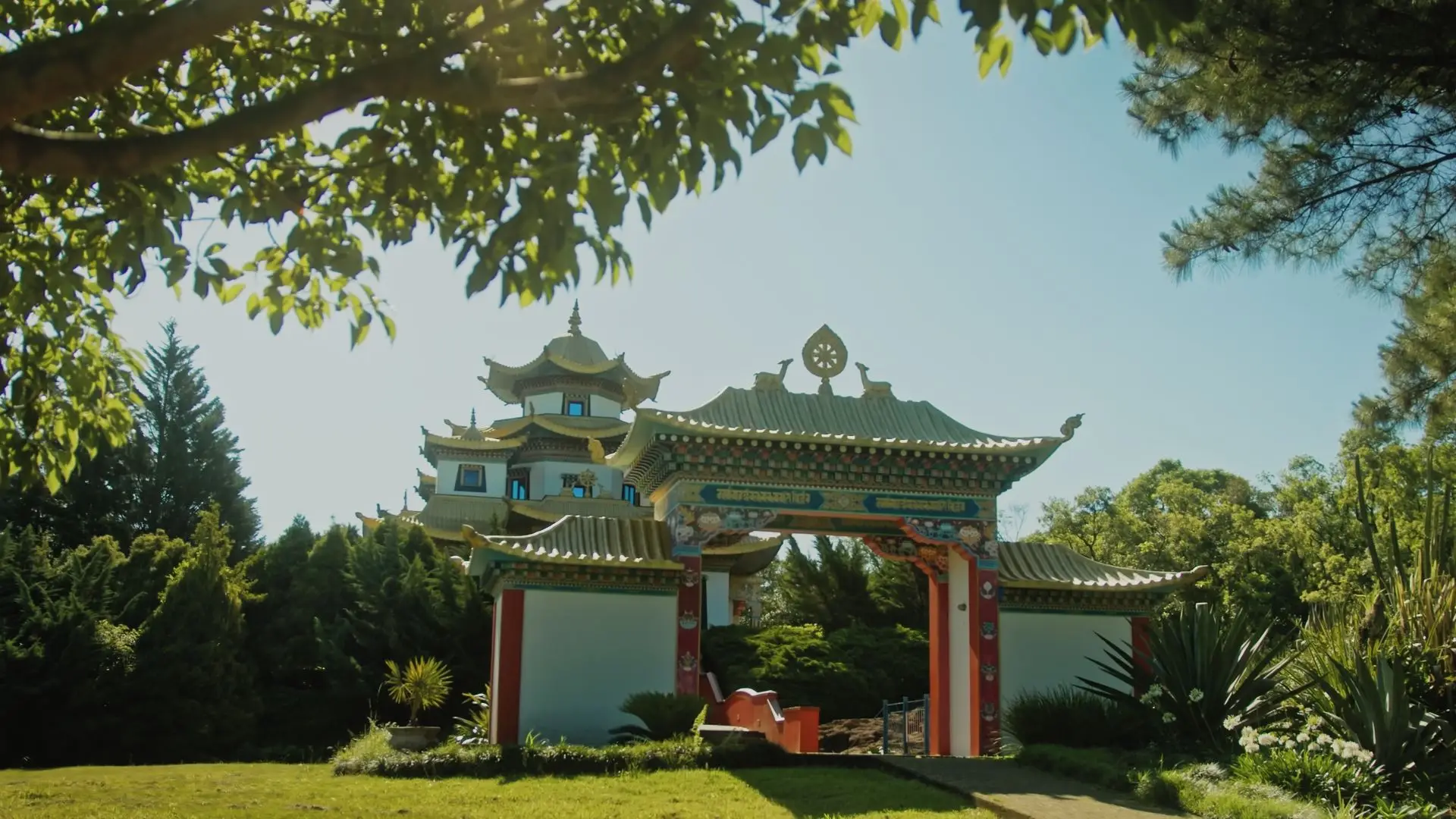 Image - 4