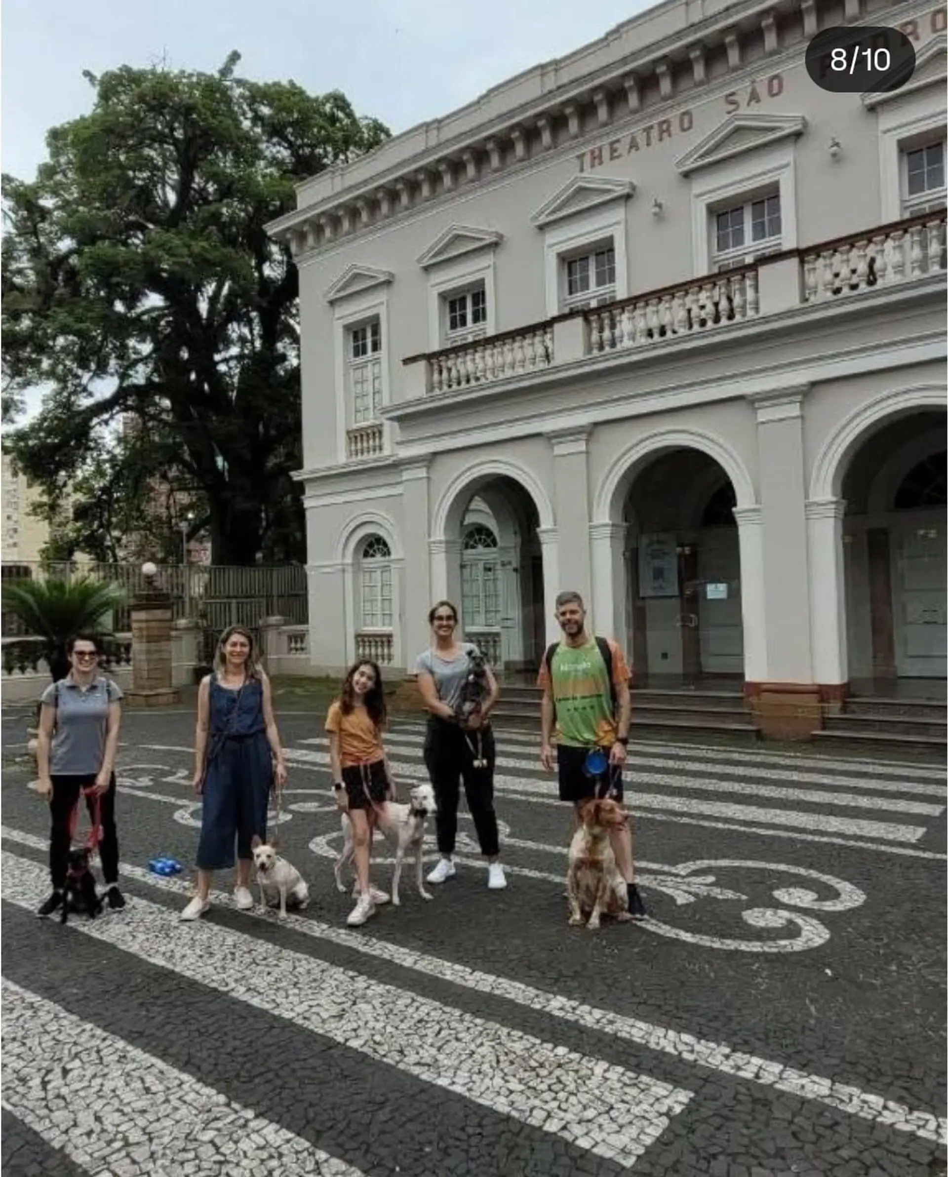 Image - 3