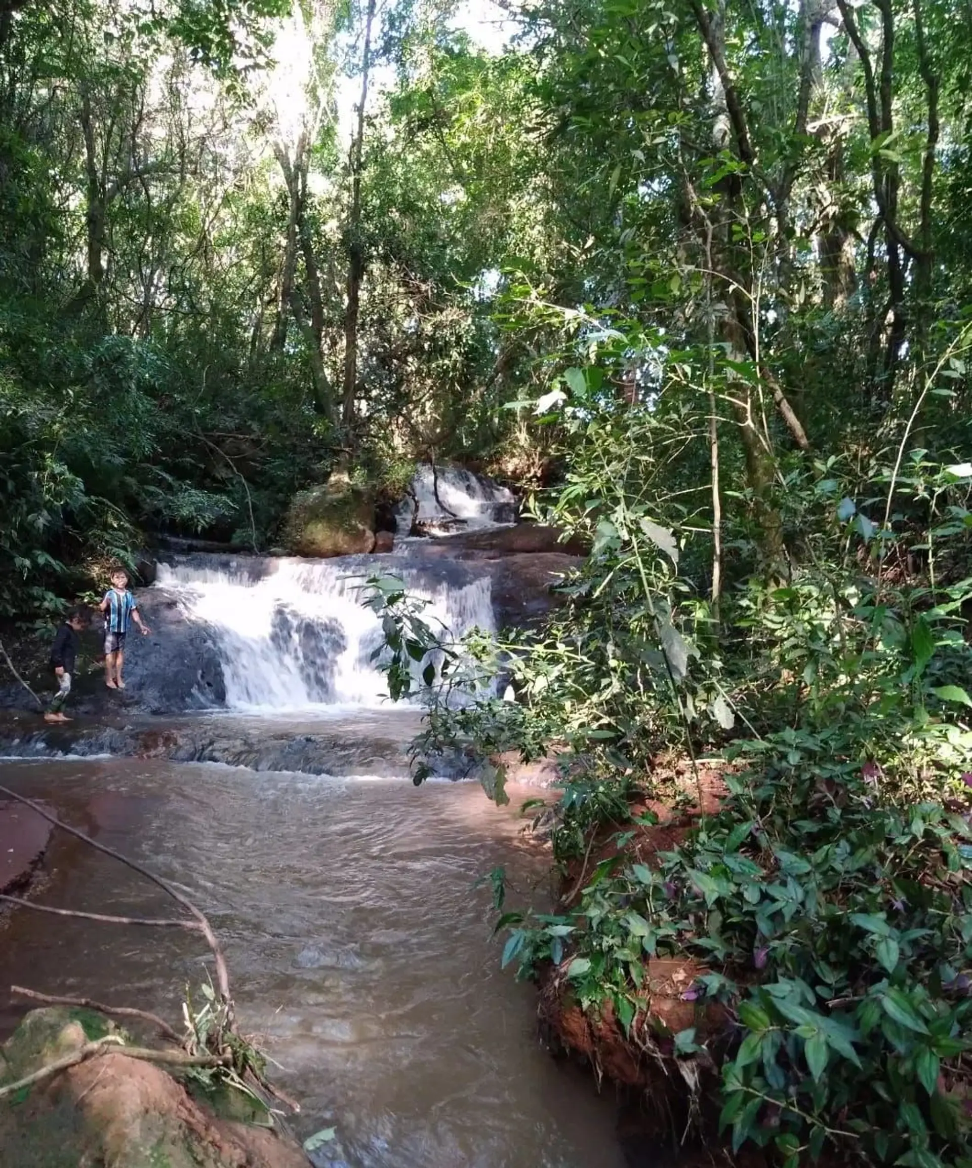 Image - 8