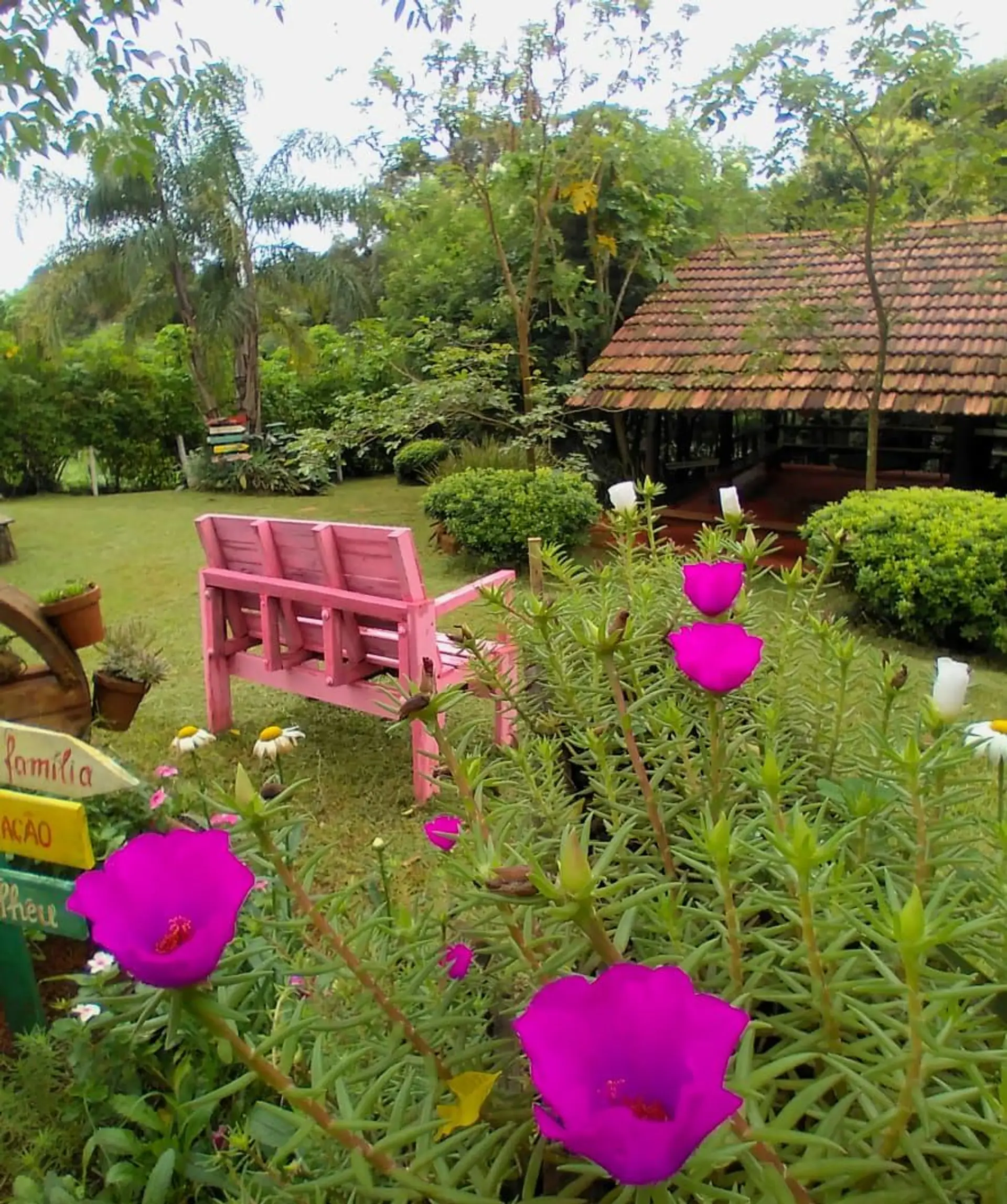 Image - 4