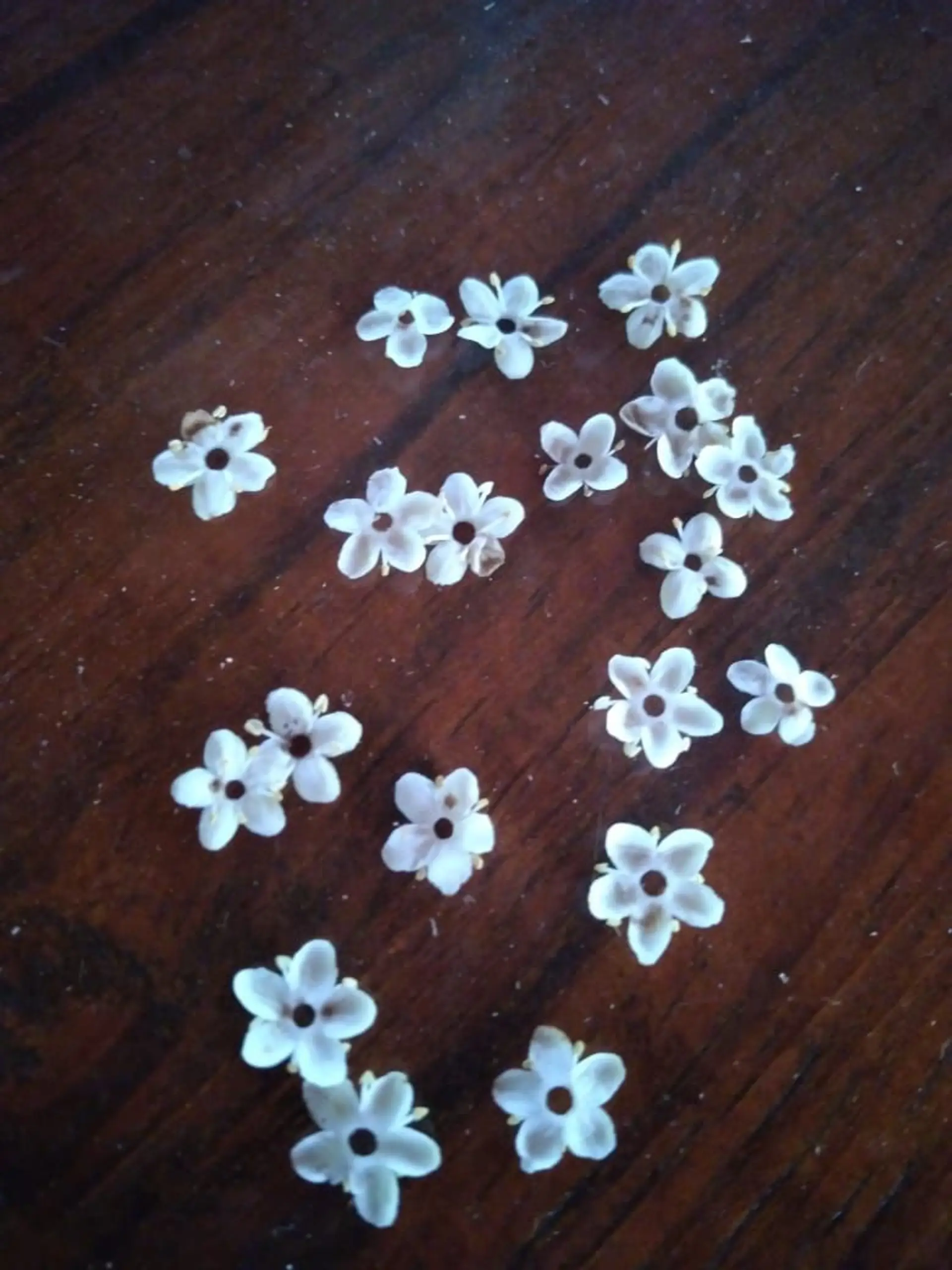 Image - 5