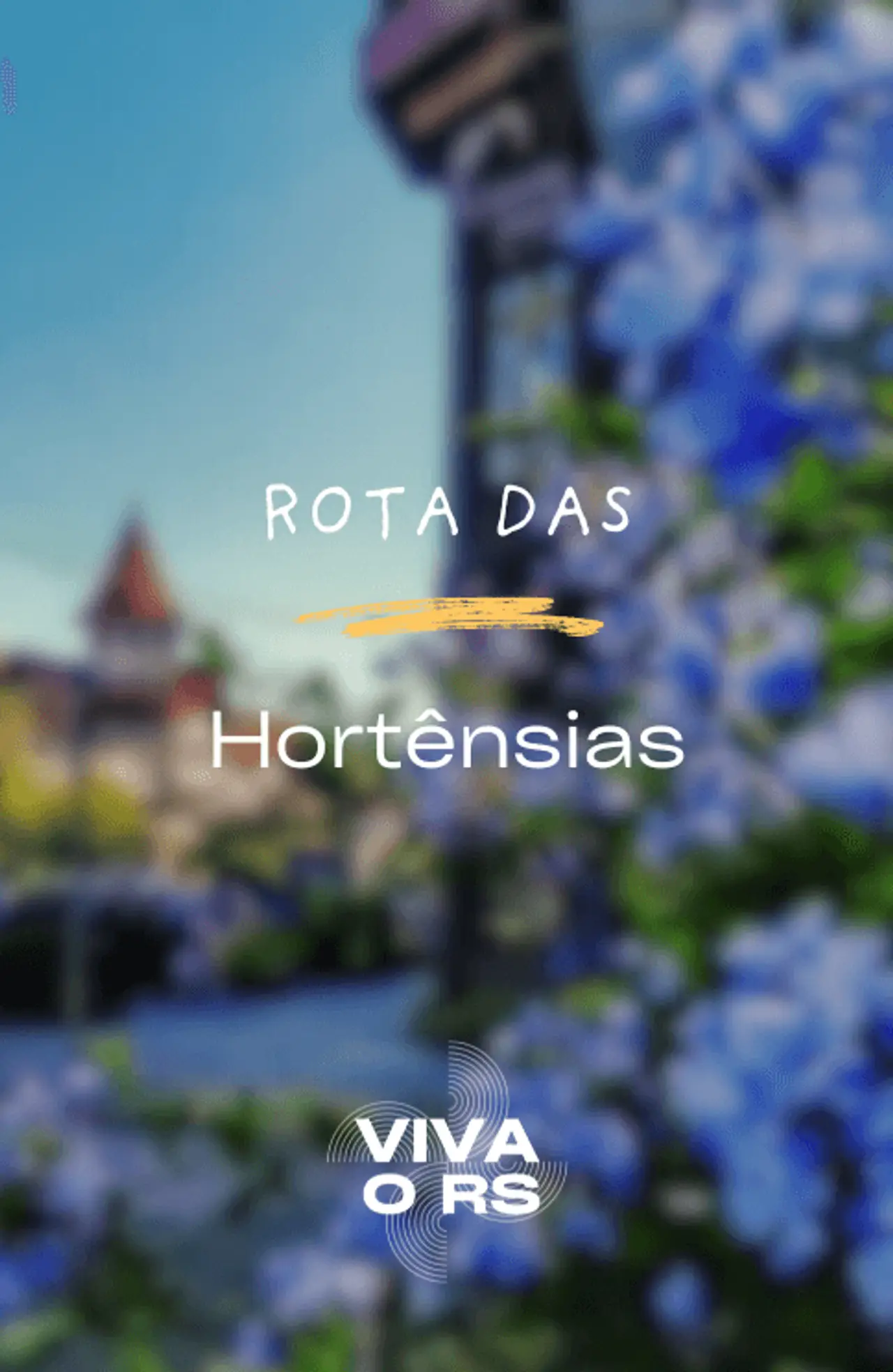 Cover - 206
