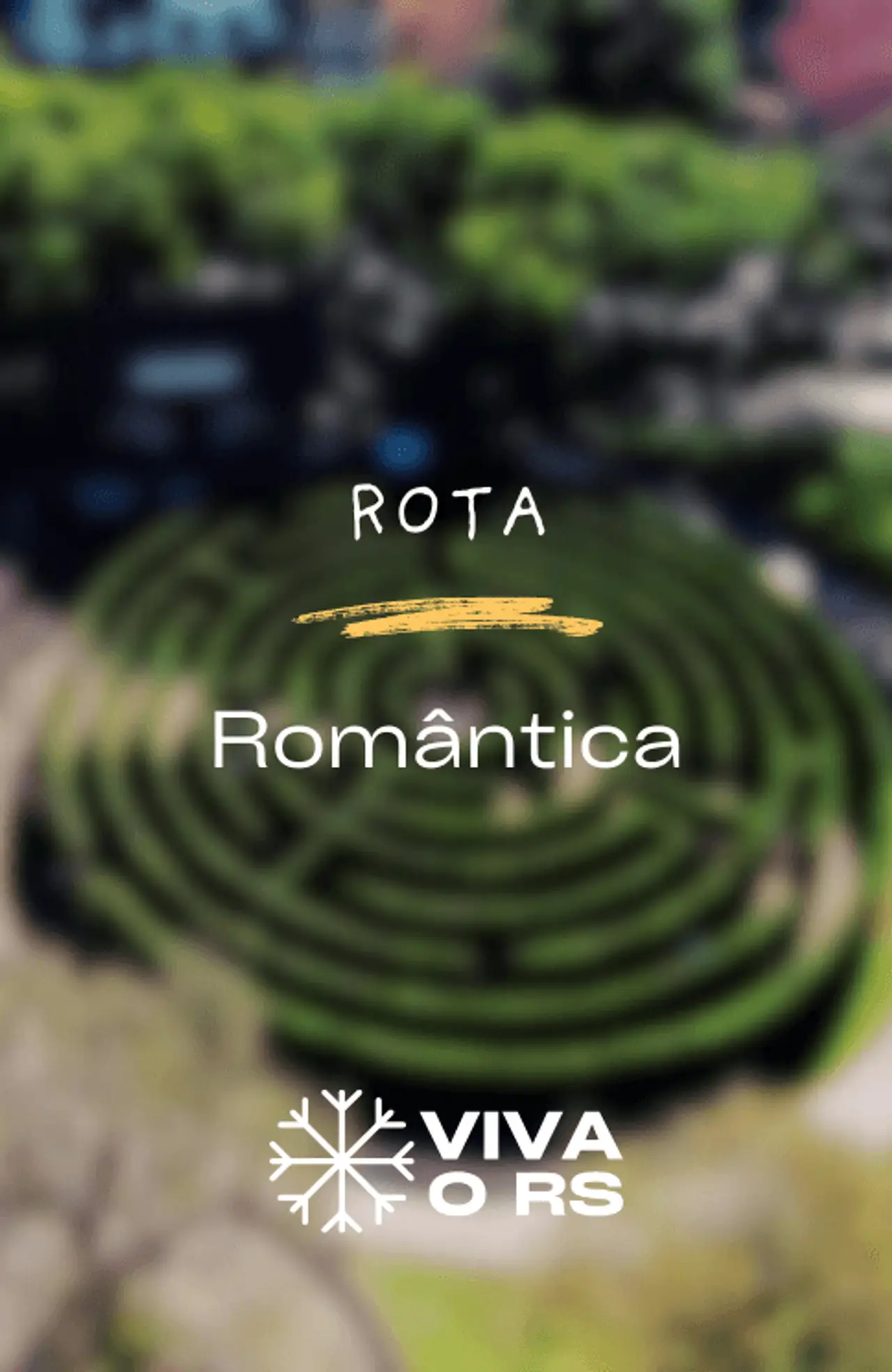 Cover - 230